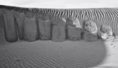 BW Dune Study 2.jpg
