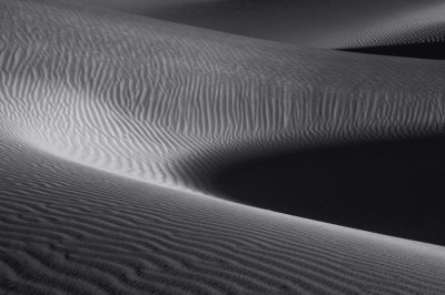 BW Dune Study 21.jpg