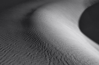 BW Dune Study 22.jpg