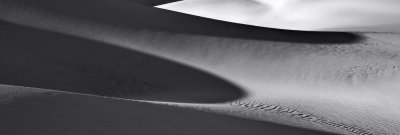 BW Dune Study 23.jpg