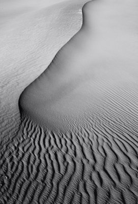 BW Dune Study 26.jpg