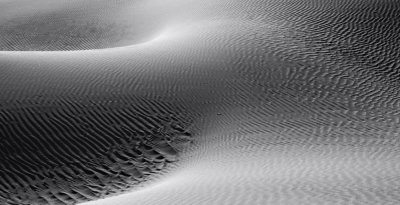 BW Dune Study 29.jpg