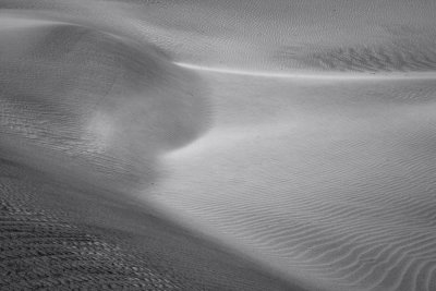 BW Dune Study 6.jpg