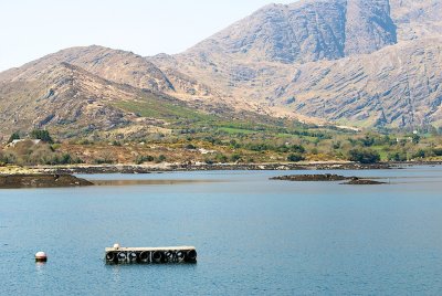 DSC_6072.jpg