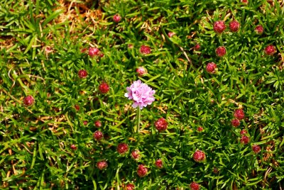 DSC_6099.jpg