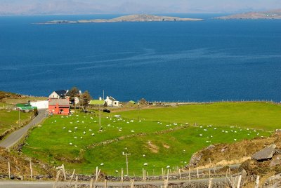 DSC_6113.jpg