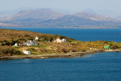 DSC_6145.jpg