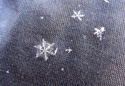  snowflakes on a shell mitt