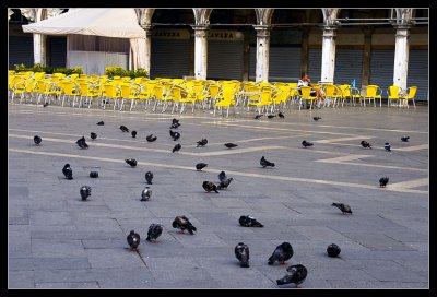 Early Morning in St Mark's Square