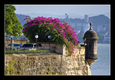 Old City Wall