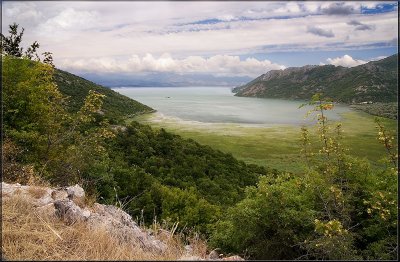 Lake Skadar. Montenegro.