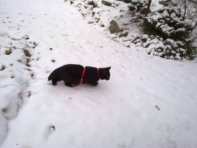 Molly's first time in snow