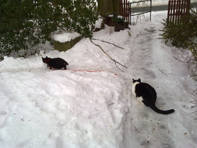 Frederik & Molly in the snow