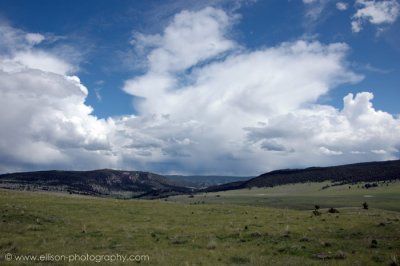 Junction Sheep Range