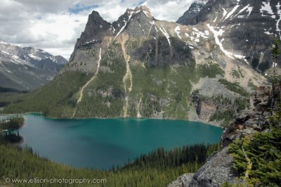 View of Lake O'Hara from Opabin Prospect