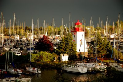 Harbour from the club