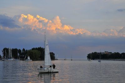 Harbour - Marina del Rey Toronto