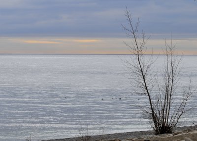 Lake Ontario - February