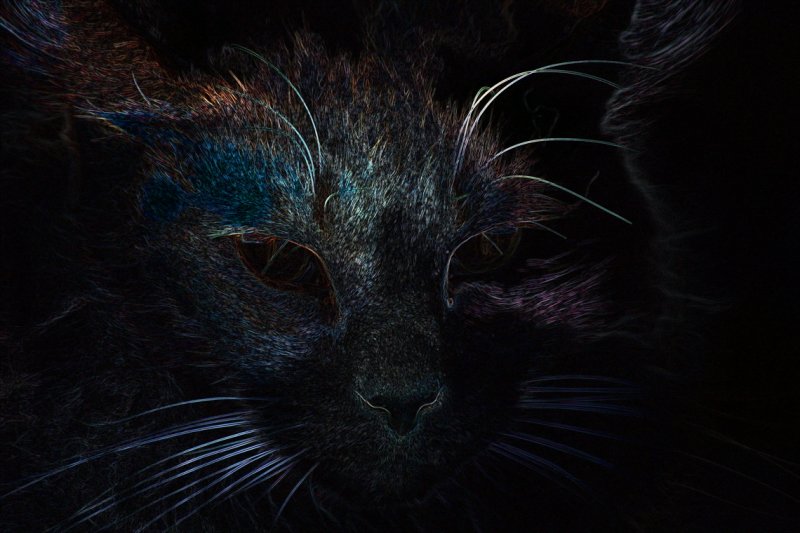 Cats Face abstracted