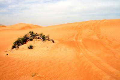 Desert of Dubai
