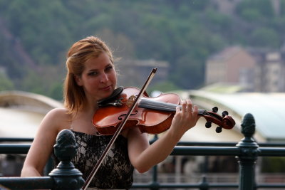 Fiddler at the River Donau