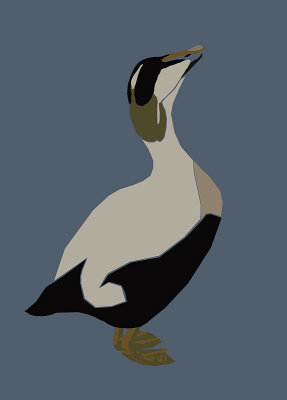 eider1dje.jpg