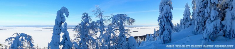 Koli National Park Panorama