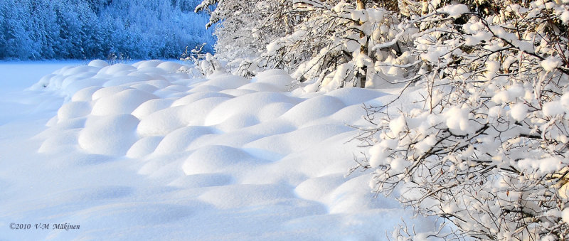 Snow-dunes panorama