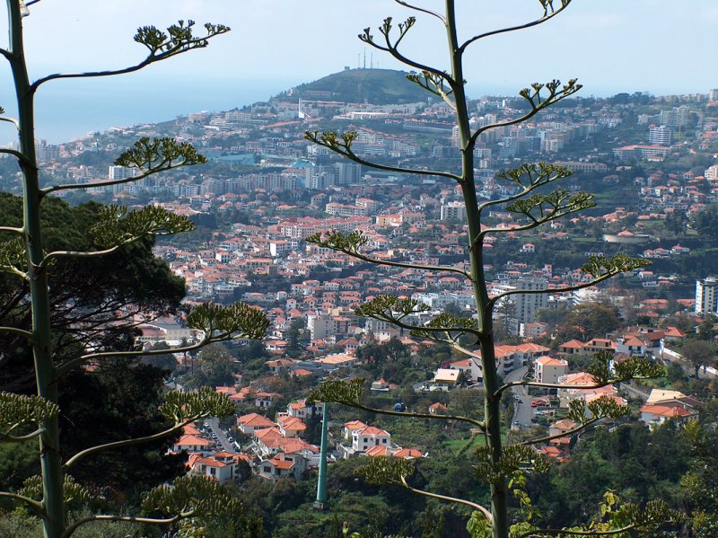 EN ROUTE - MADEIRA