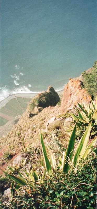 EN ROUTE - MADEIRA