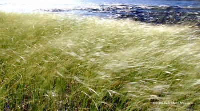 Straws in the wind