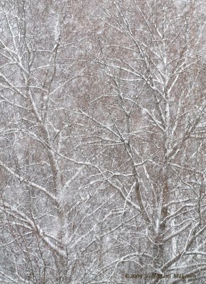 Return of winter in Good Friday