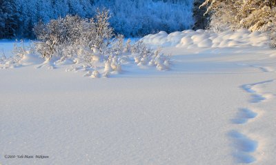 Winter Atmosphere