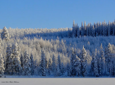 -18,4 Fahrenheit frost and the shadows are blue