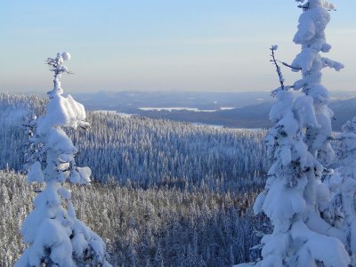 Koli National Park