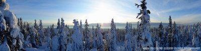 g3/22/899422/3/122352077.sitzhGgF.jpg