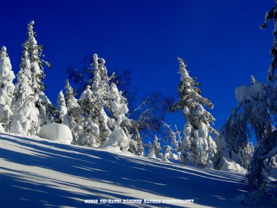 Light and shadows in Koli National Park