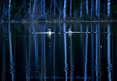 The land of the Black-Throated Divers