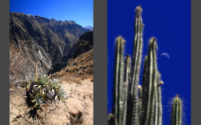 Canyon Colca, the deepest canyon in the world