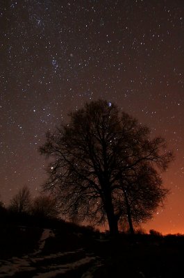Milky Way with Comet 17P Holmes