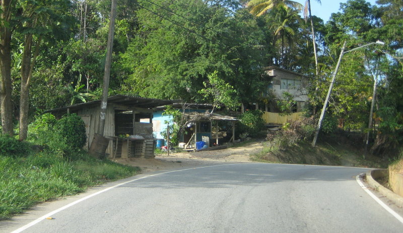 The drive to the Grande Riviere