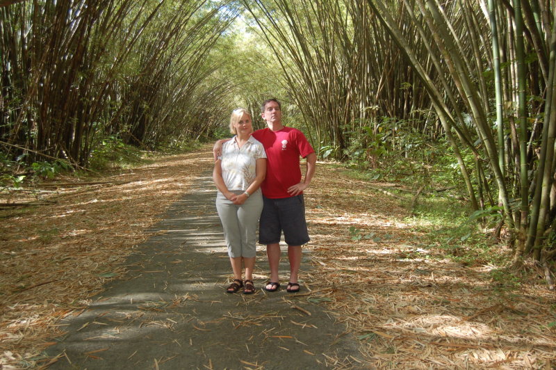 Bamboo Cathedral