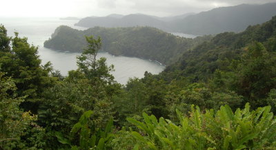 Scenery on Tobago