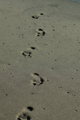Obligatory Footprints