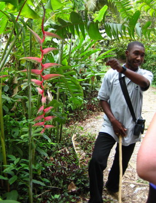 Atkin - Our Tour Guide explaining the Heliconia Flower