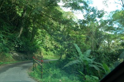 Trinidad Guard Rail