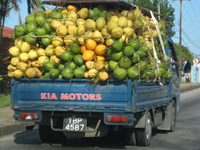 Coconut Transport
