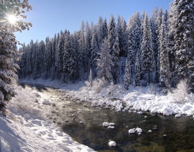 Winter shots
