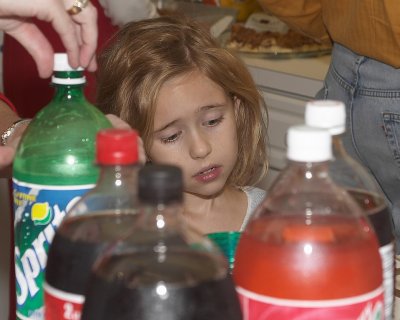 CRW_4082.jpg