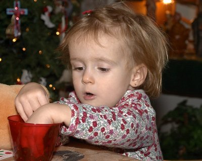 CRW_4133.jpg